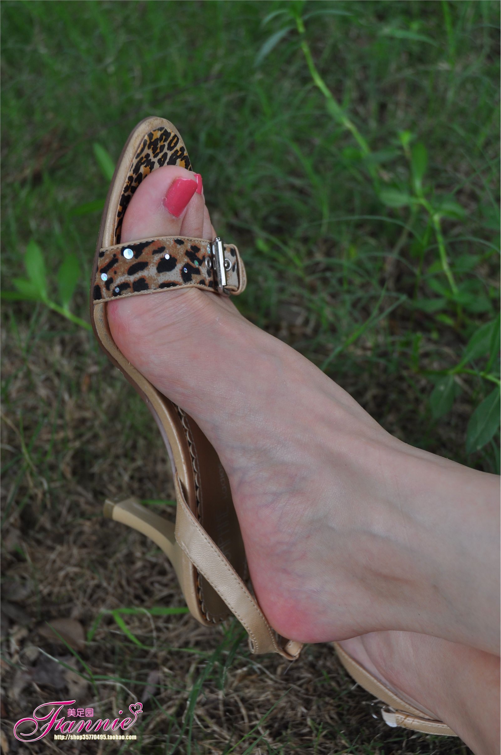 夏日阳光、细雨和微风（3） 芬妮高清丝足